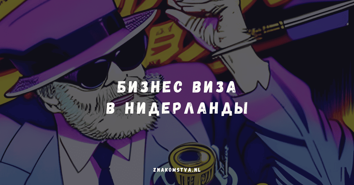 Бізнес віза в Нідерланди: особливості отримання ділової візи