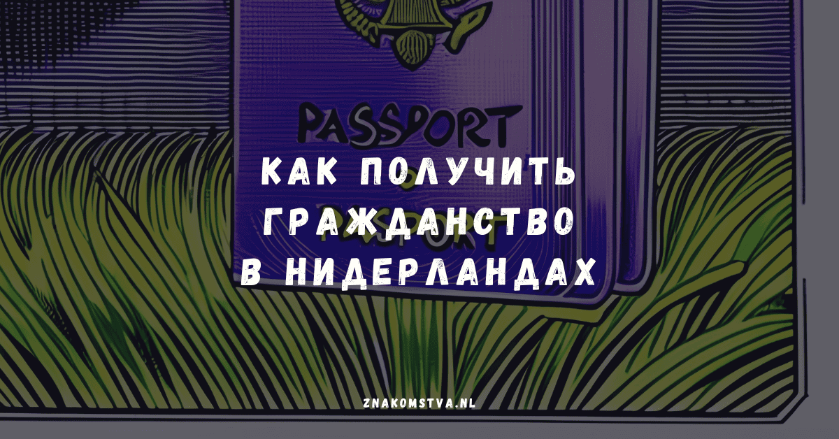 Как получить гражданство в Нидерландах: требования в 2024 году