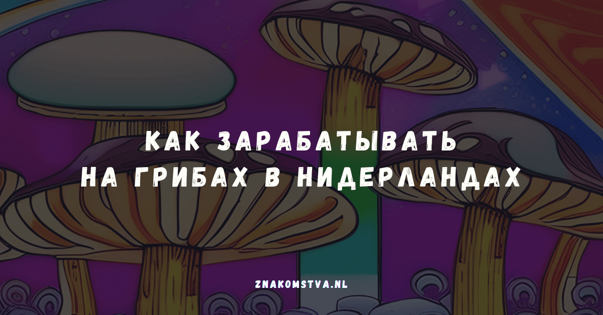 Как зарабатывать на грибах в Нидерландах